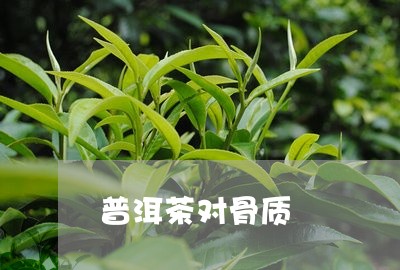 普洱茶对骨质/2023042762696