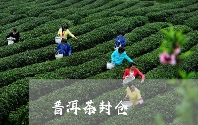 普洱茶封仓/2023090676270