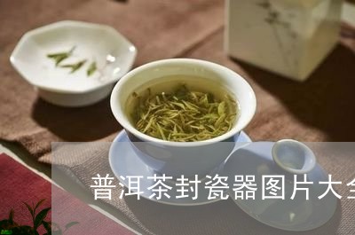 普洱茶封瓷器图片大全/2023062861603