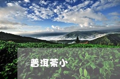 普洱茶小/2023110806058