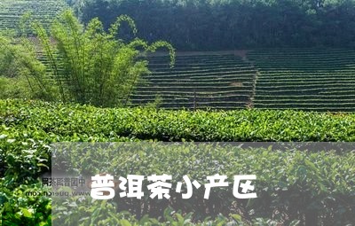 普洱茶小产区/2023042911380