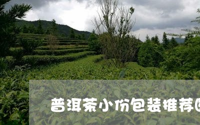 普洱茶小份包装推荐图片/2023121664027