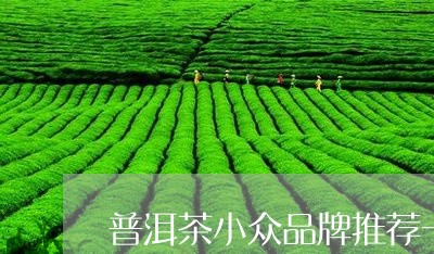 普洱茶小众品牌推荐一下/2023050633937