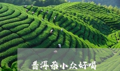 普洱茶小众好喝/2023102641593