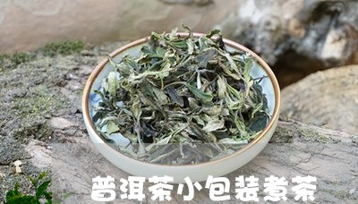 普洱茶小包装煮茶/2023112502838