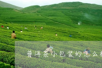 普洱茶小包装的怎么样/2023072257682