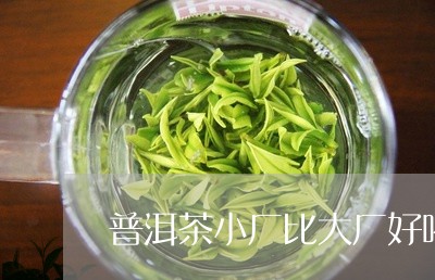 普洱茶小厂比大厂好喝/2023100625067