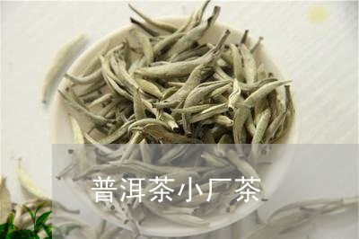 普洱茶小厂茶/2023042823172