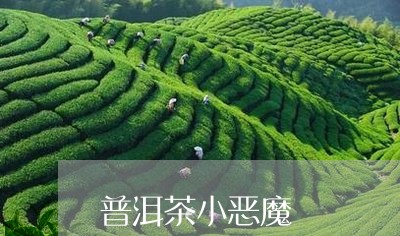 普洱茶小恶魔/2023101615926