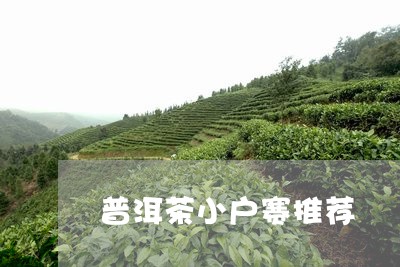 普洱茶小户赛推荐/2023120459360