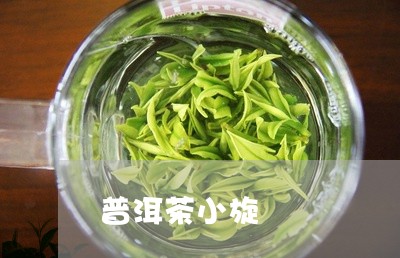 普洱茶小旋/2023081774735