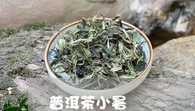 普洱茶小暑/2023102584126