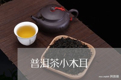 普洱茶小木耳/2023042704595