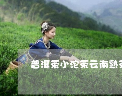 普洱茶小沱茶云南熟茶/2023100751826