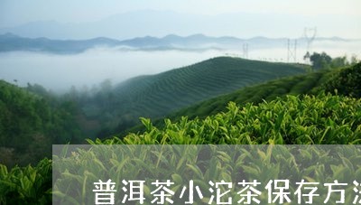 普洱茶小沱茶保存方法/2023100554057