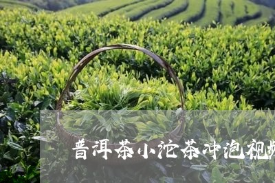 普洱茶小沱茶冲泡视频大全/2023083092716