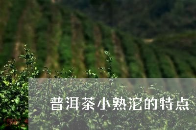 普洱茶小熟沱的特点/2023112668291