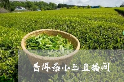 普洱茶小玉直播间/2023120436269