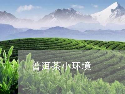 普洱茶小环境/2023042858996