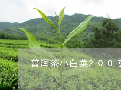 普洱茶小白菜200克/2023062329471