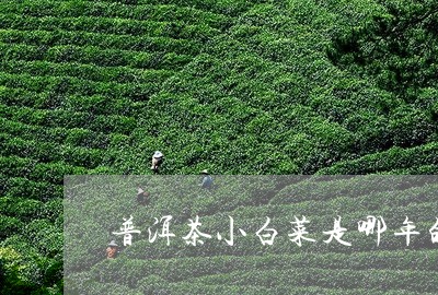 普洱茶小白菜是哪年的/2023092704936