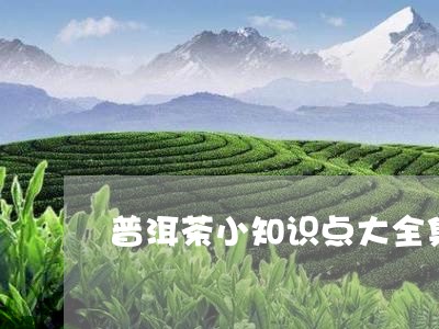 普洱茶小知识点大全集视频/2023112517069