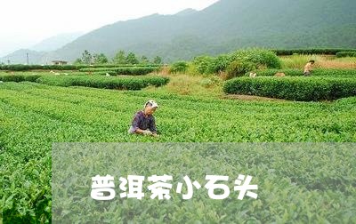 普洱茶小石头/2023042659832