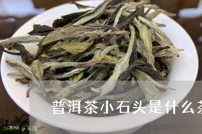 普洱茶小石头是什么茶叶/2023112886162