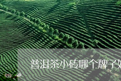 普洱茶小砖哪个牌子好一点/2023083071614