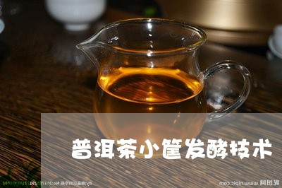 普洱茶小筐发酵技术/2023091357161