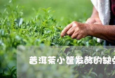 普洱茶小筐发酵的缺点/2023062321694