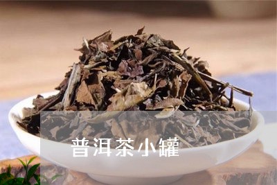 普洱茶小罐/2023090586948