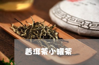 普洱茶小罐茶/2023042905866