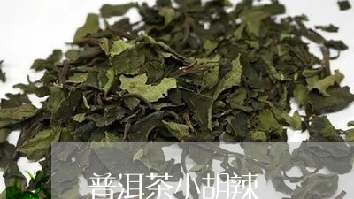 普洱茶小胡辣/2023090617040