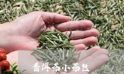 普洱茶小茶包/2023042832192