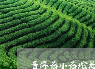 普洱茶小茶坨是熟茶吗/2023080314847