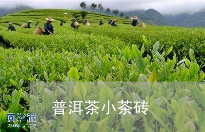 普洱茶小茶砖/2023081848404