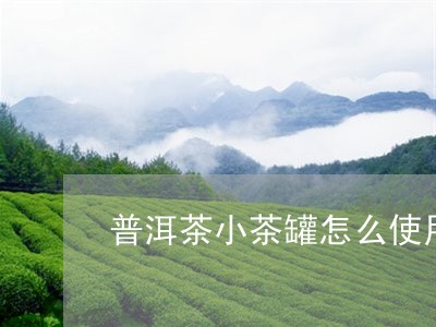 普洱茶小茶罐怎么使用图解/2023112471682