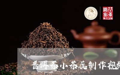 普洱茶小茶蕊制作视频/2023100776160