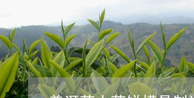 普洱茶小茶饼模具制造/2023100777030