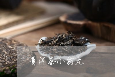 普洱茶小药丸/2023042781755