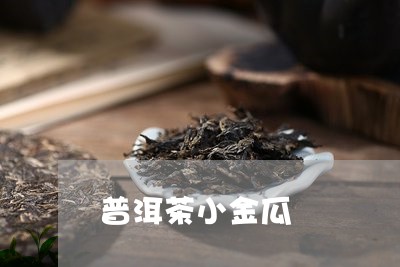 普洱茶小金瓜/2023042653251