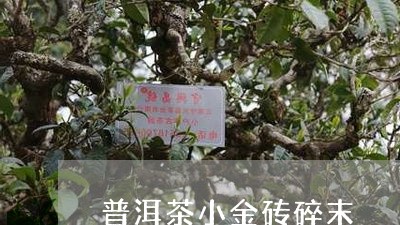 普洱茶小金砖碎末/2023102691893