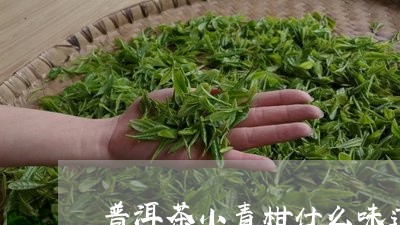 普洱茶小青柑什么味道/2023062227170