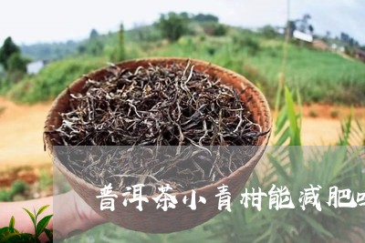 普洱茶小青柑能减肥吗/2023092781694