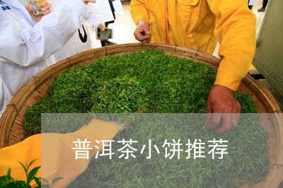 普洱茶小饼推荐/2023083094929