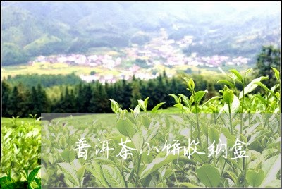 普洱茶小饼收纳盒/2023120451684