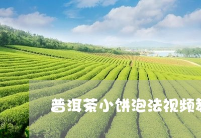 普洱茶小饼泡法视频教程/2023110698381