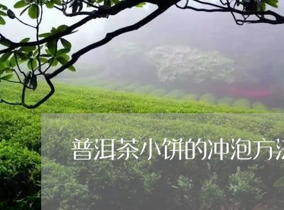 普洱茶小饼的冲泡方法/2023100593725