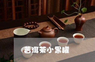 普洱茶小黑罐/2023101613925